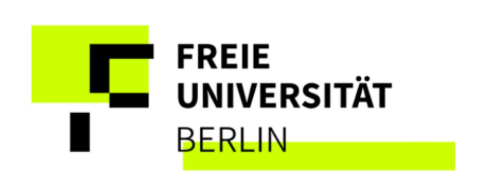 Freie Universität Berlin – akademische Ghostwriter Experten